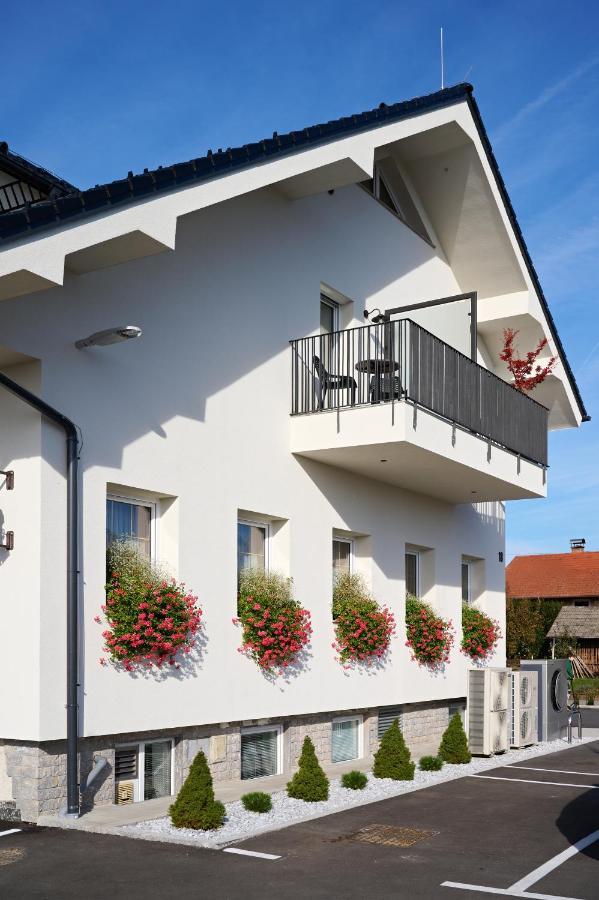 Hisa Ancka, - 3 Min To The Airport 3* Sencur